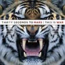 My Old Friend The Blues