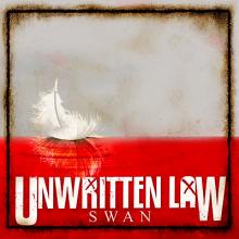 Swan